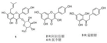 Filamental flowering crab extract, active compound, preparing method and application