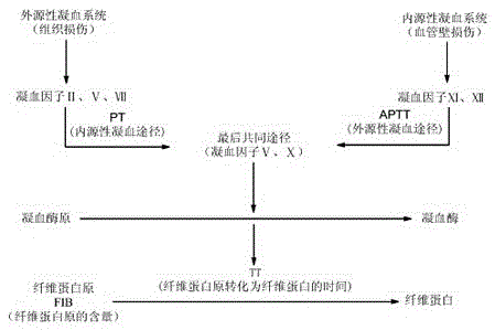 Filamental flowering crab extract, active compound, preparing method and application