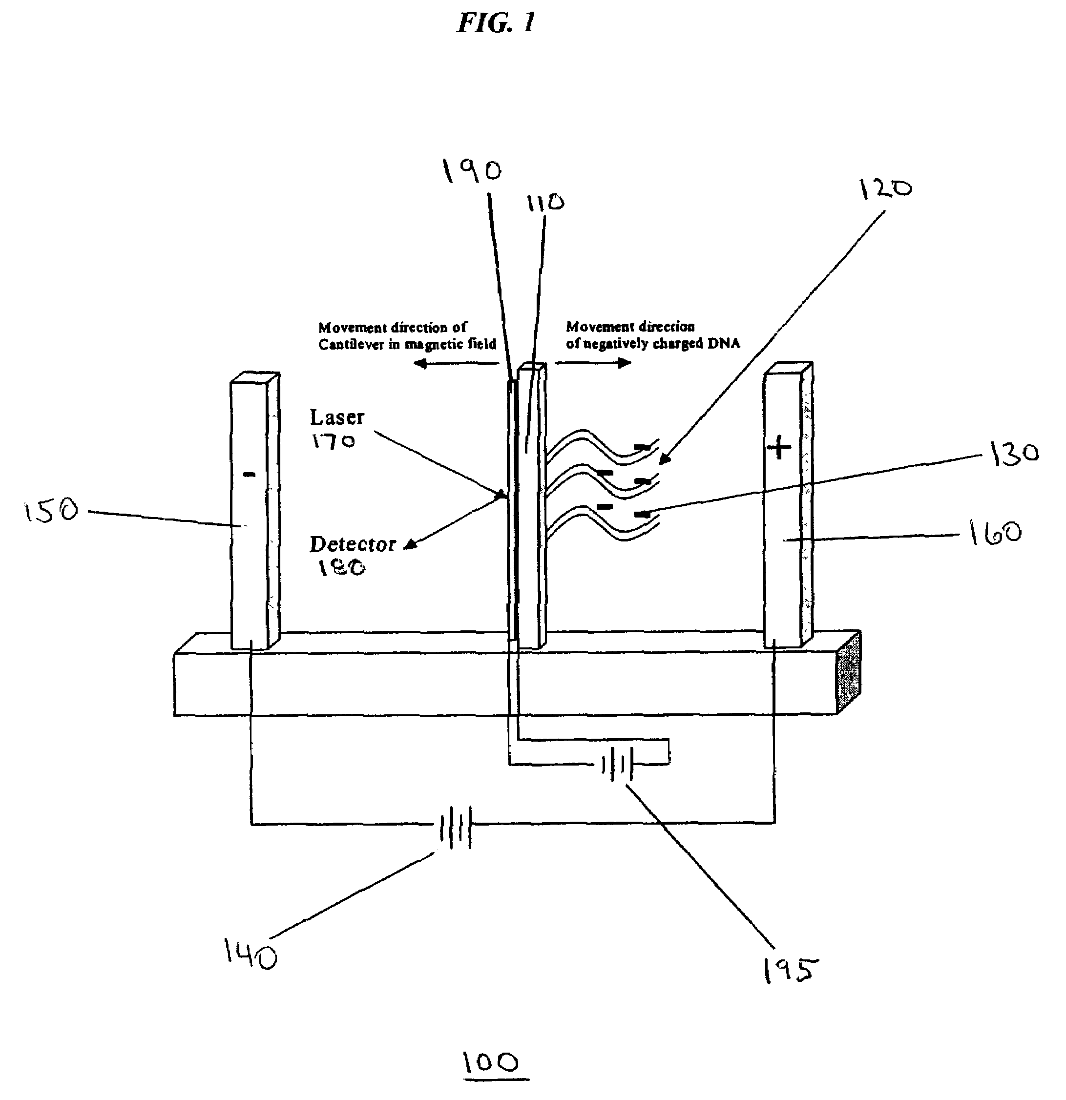 Detecting molecular binding by monitoring feedback controlled cantilever deflections