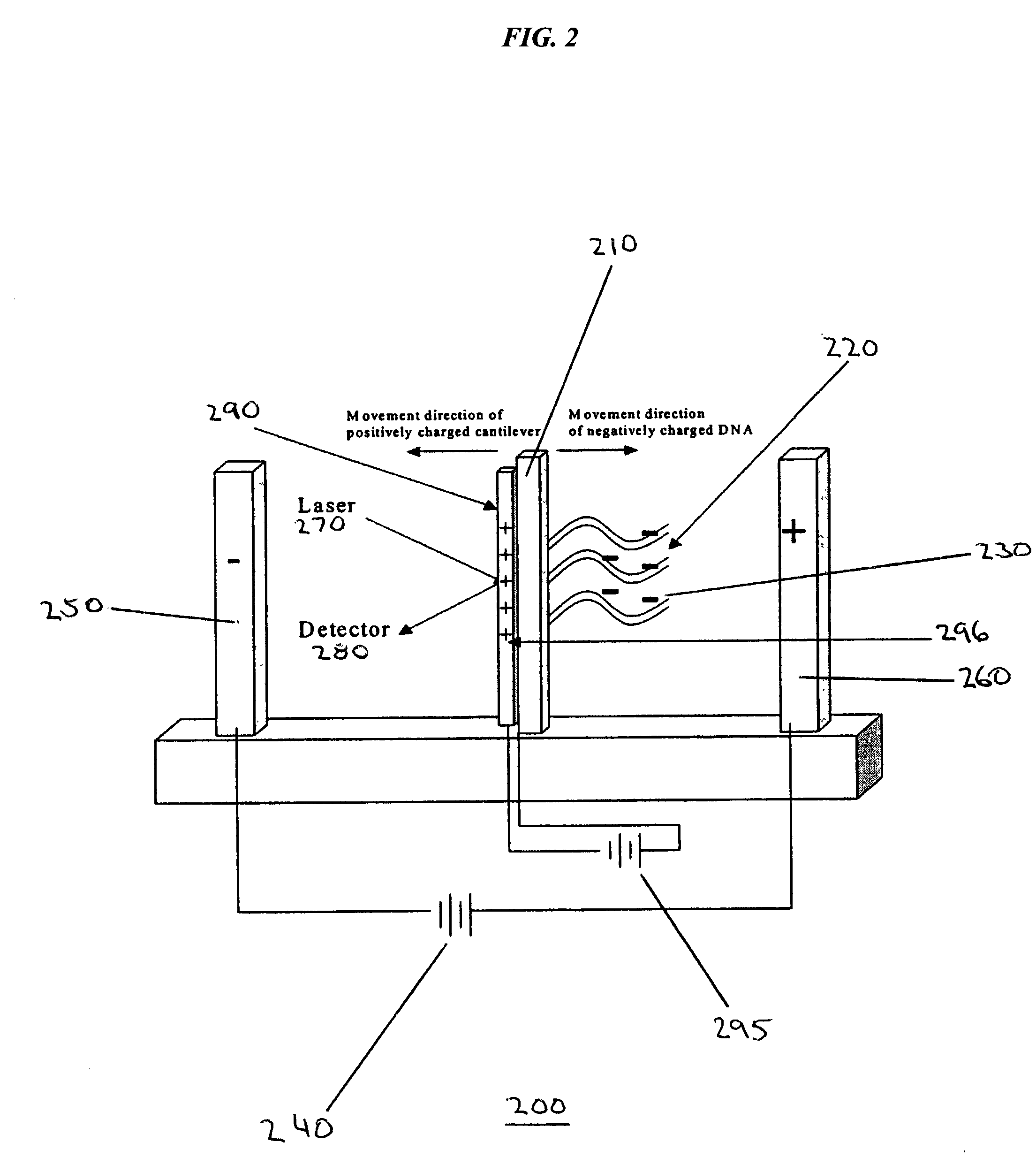 Detecting molecular binding by monitoring feedback controlled cantilever deflections