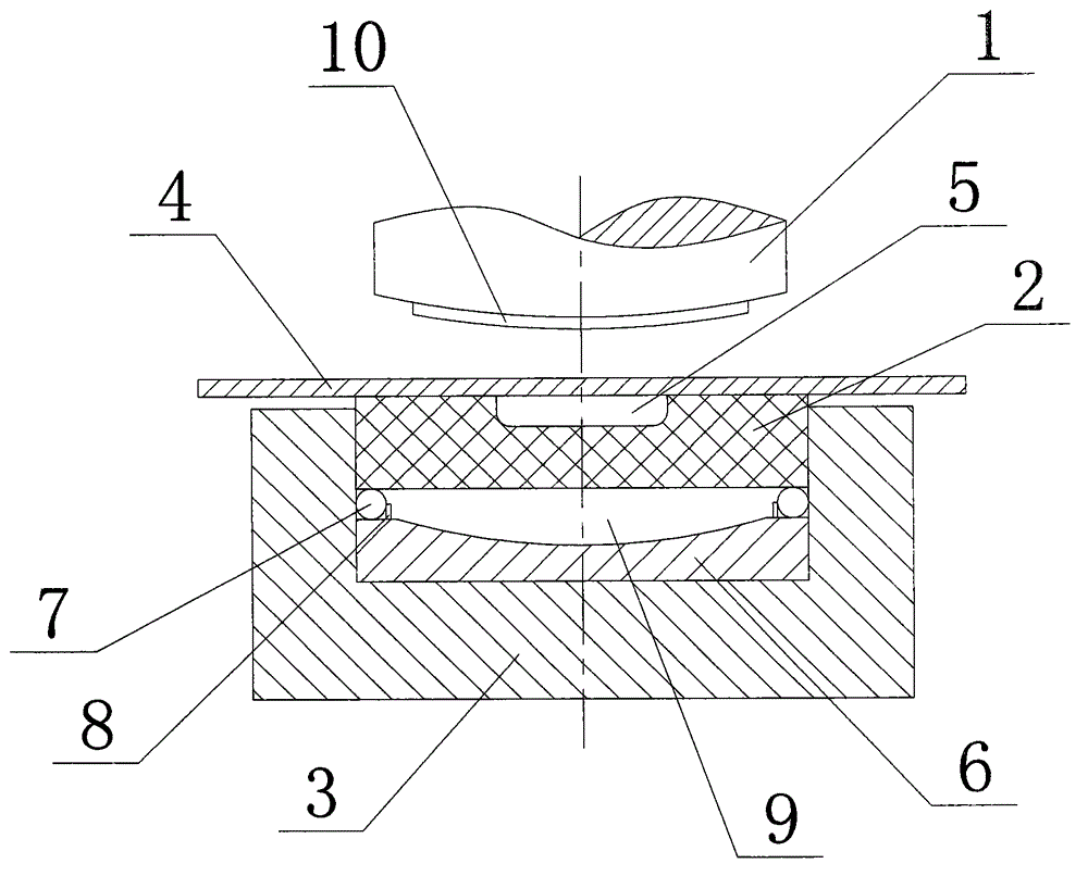 Polyurethane rubber bending die