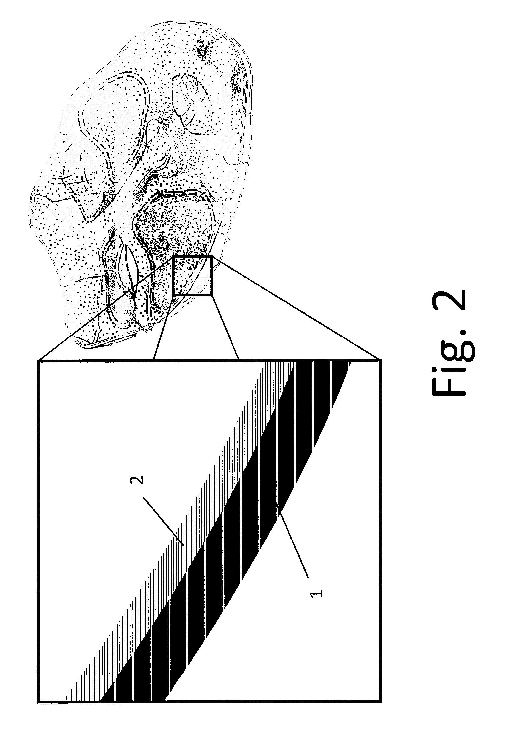 Cosmetics Applicator System and Method