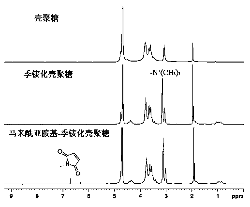 Antigen covalently bound chitosan nanoparticle-based nasal immune carrier