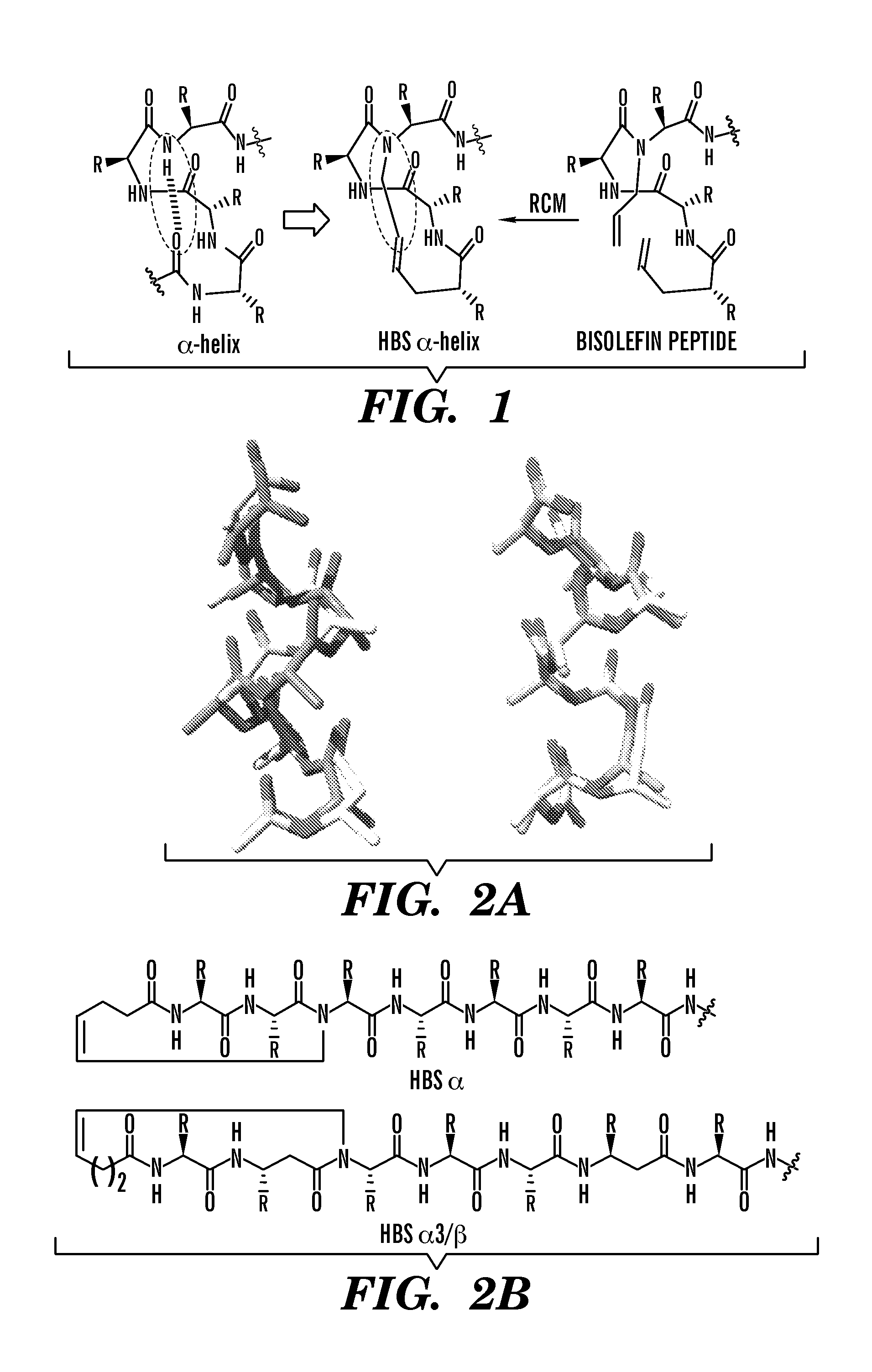 Proteolytically resistant hydrogen bond surrogate helices