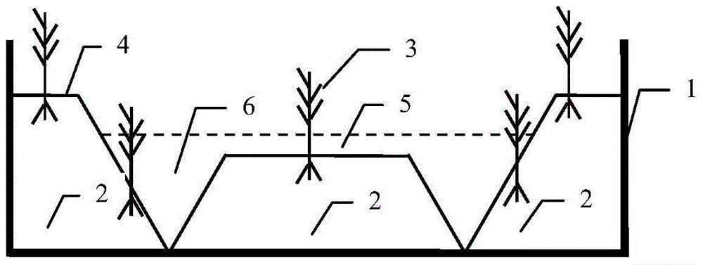 W-shaped constructed wetland for amphibian protection in polluted sites