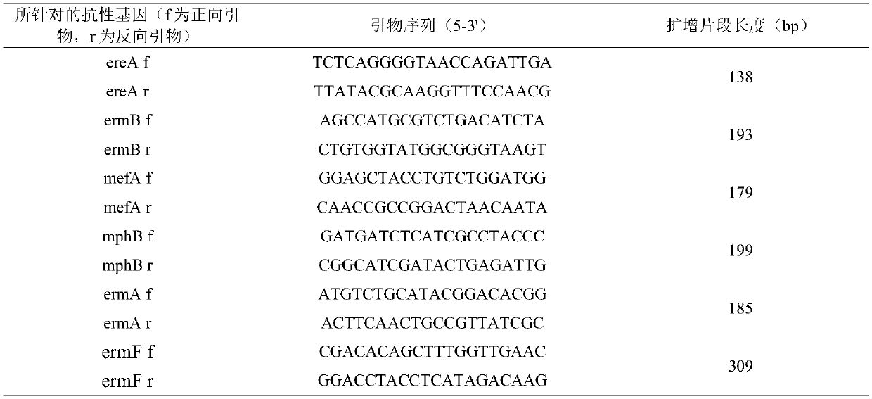 Method for removing antibiotic resistance genes through ionizing irradiation