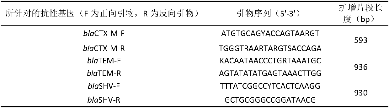 Method for removing antibiotic resistance genes through ionizing irradiation