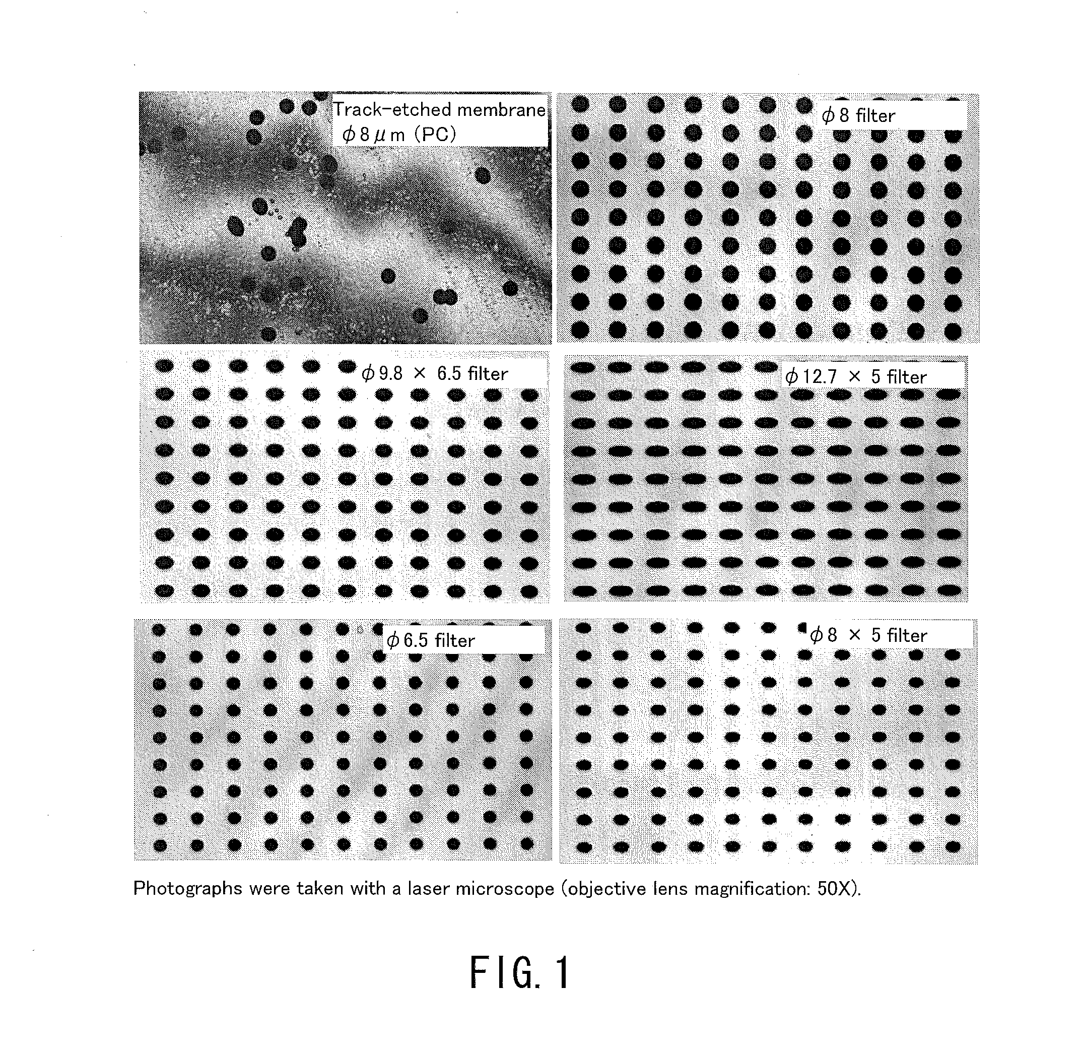 Method For Processing Blood Sample