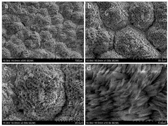 Preparation method of strontium-containing phosphate bioactivity conversion coating on titanium surface