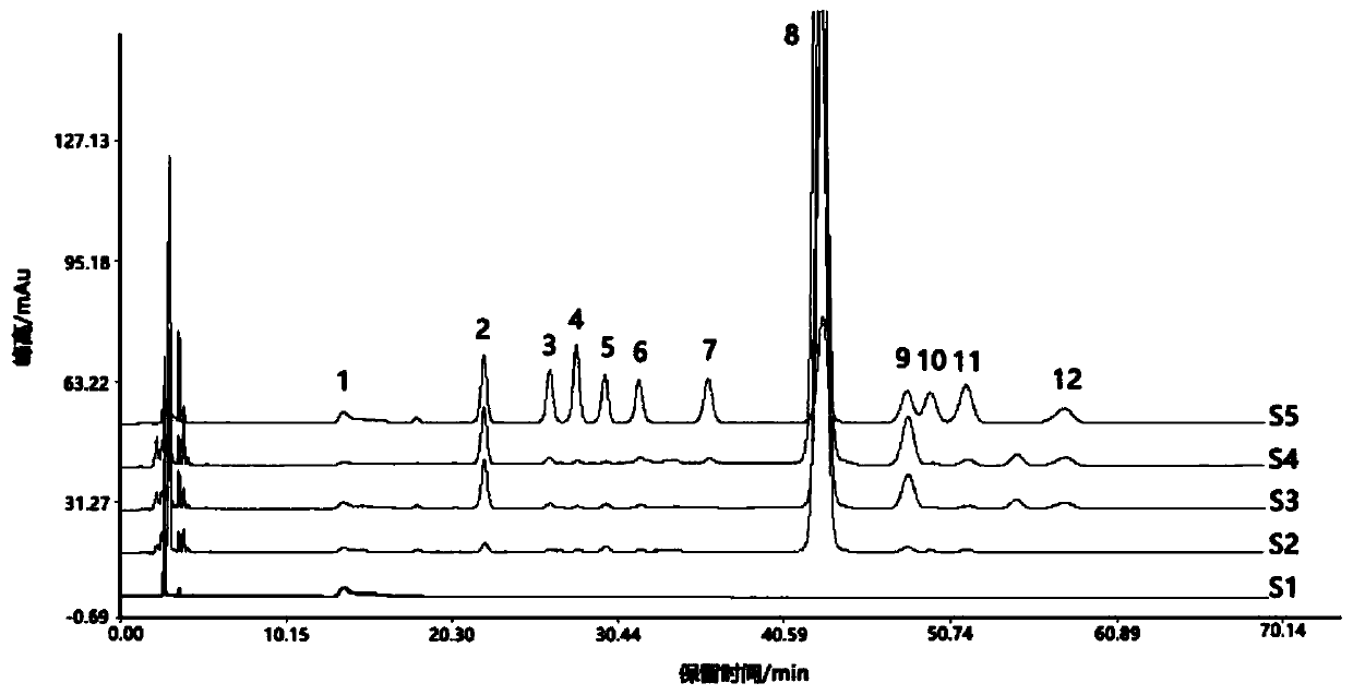 Preparation method and application of Phellinus linteus extract