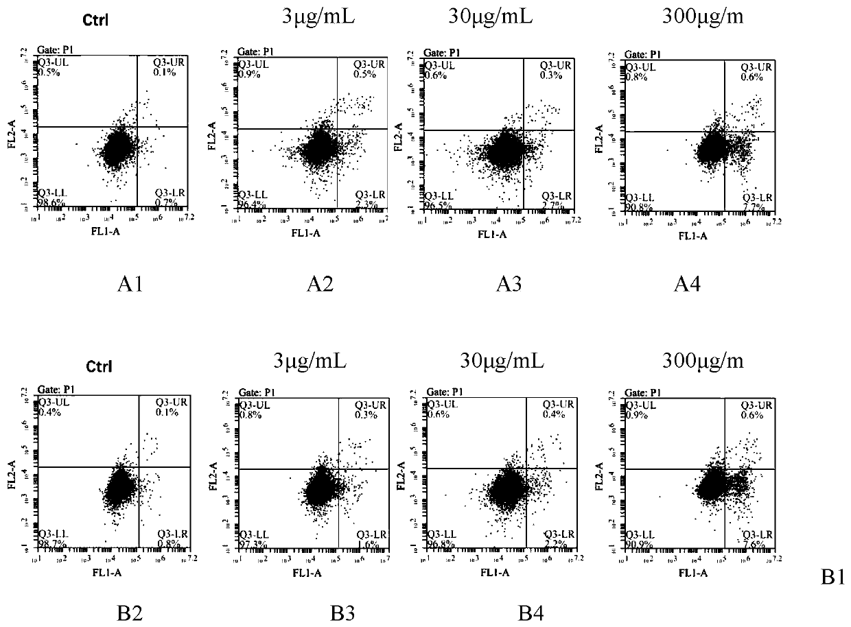 Preparation method and application of Phellinus linteus extract