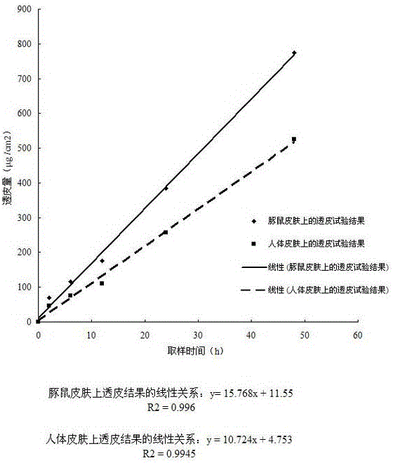 External application patch containing enalapril and application thereof