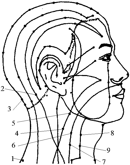 Neck portion treatment instrument