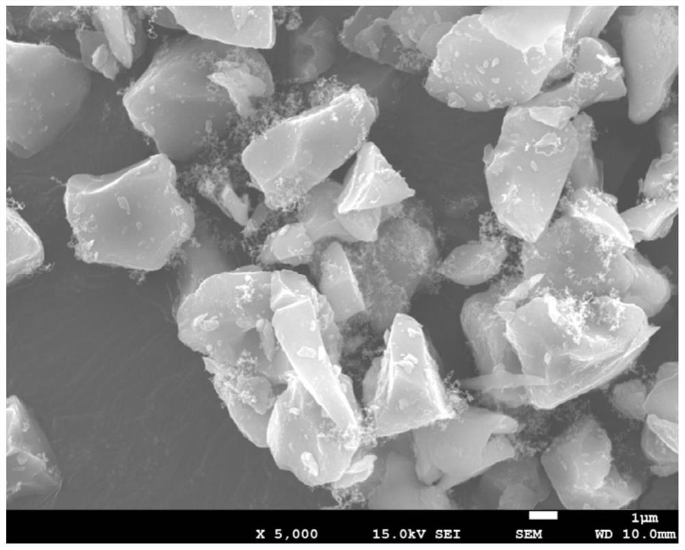 A device and method for carbon coating modification of negative electrode material of lithium ion battery