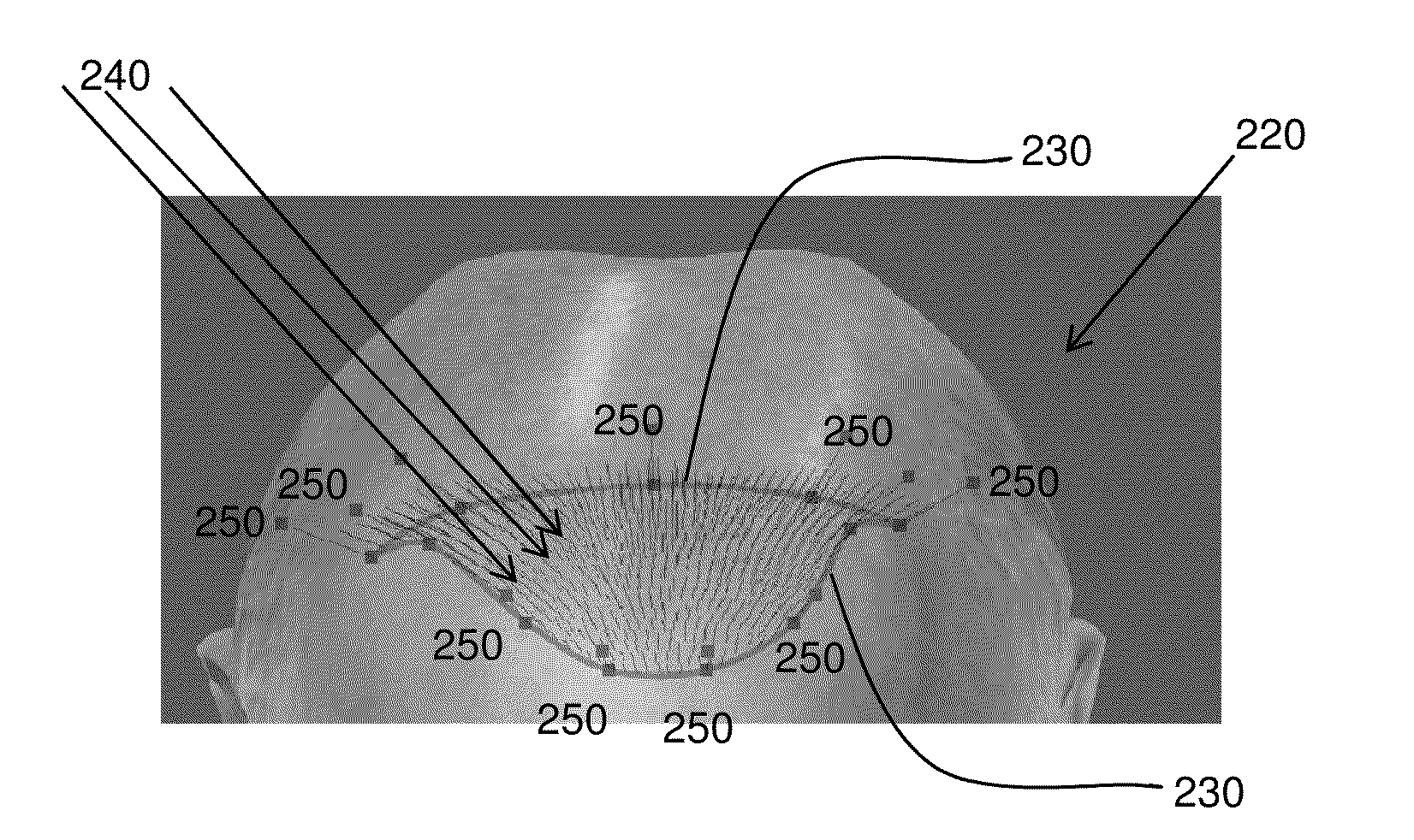 Systems and Methods for Planning Hair Transplantation