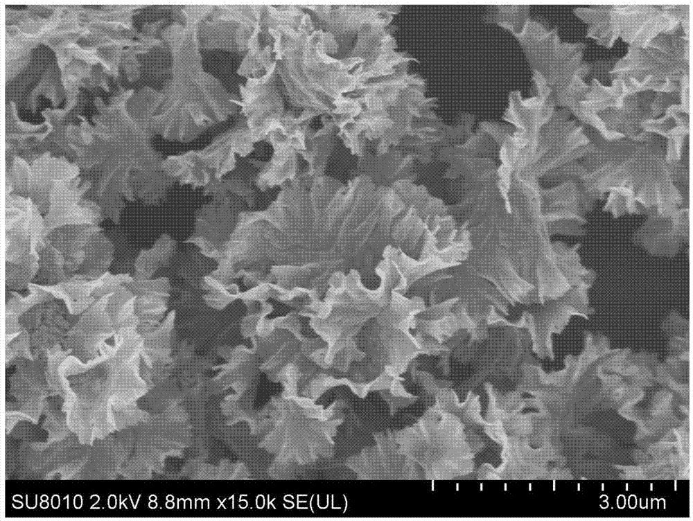 Tin bisulfide nanosheet composite material, as well as preparation method and application thereof