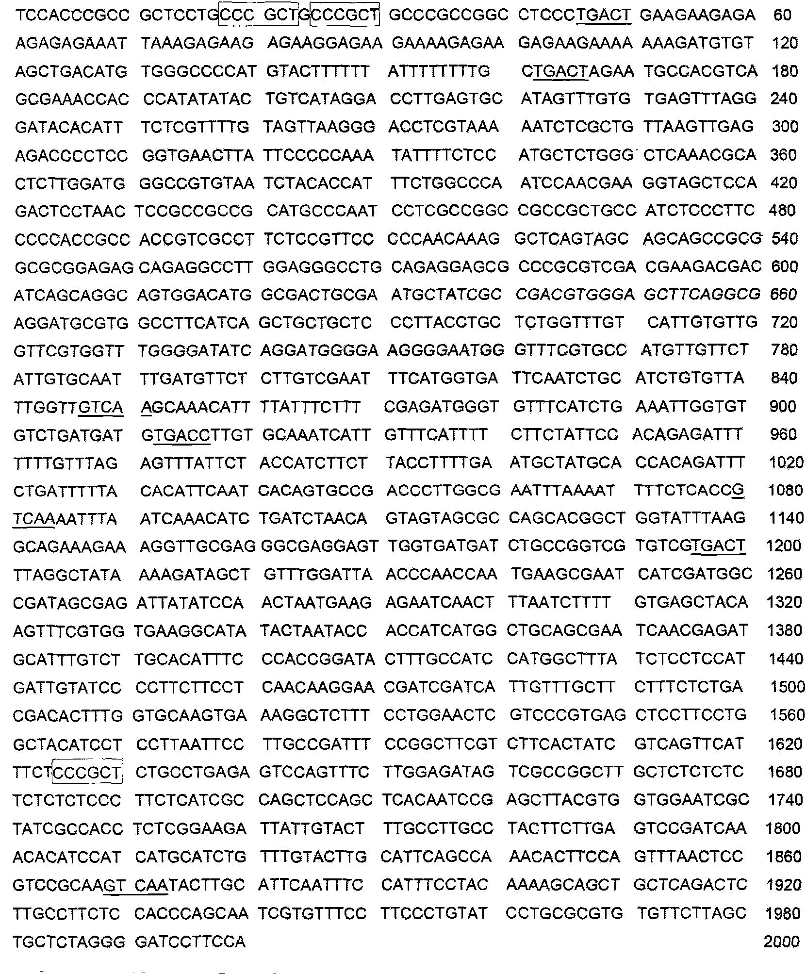 Induction-enhanced tissue specific promoter and application thereof