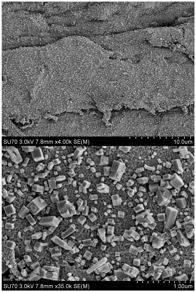 PEEK abutment with nanoneedle interface and preparation method of PEEK abutment