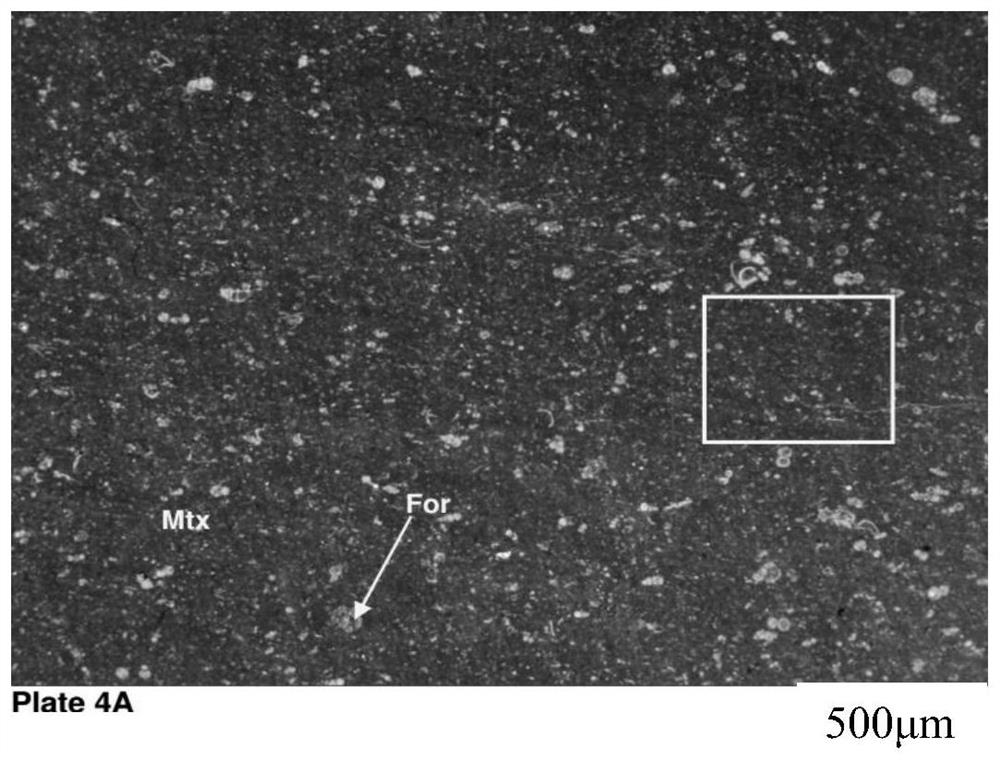 Planktonic foraminifera limestone rock classification method based on sedimentation and diagenesis description