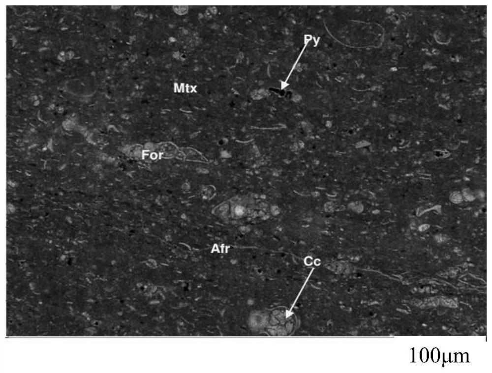 Planktonic foraminifera limestone rock classification method based on sedimentation and diagenesis description