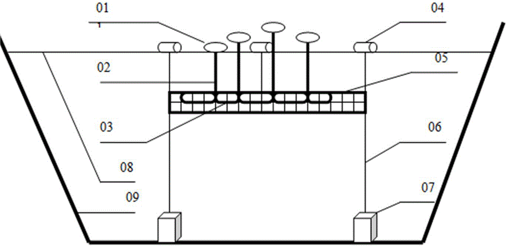 Soilless planting and harvesting method and device for lotus roots