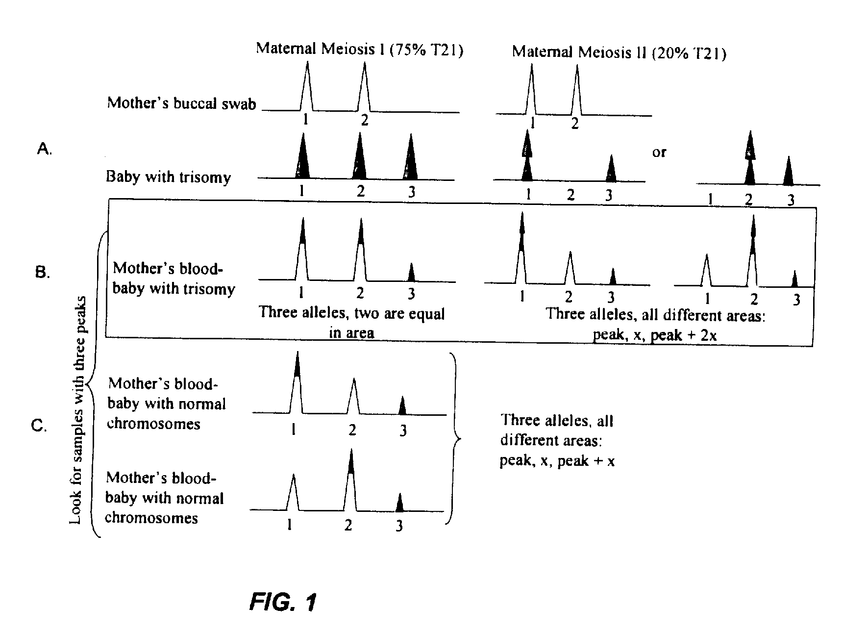 Detecting Genetic Abnormalities