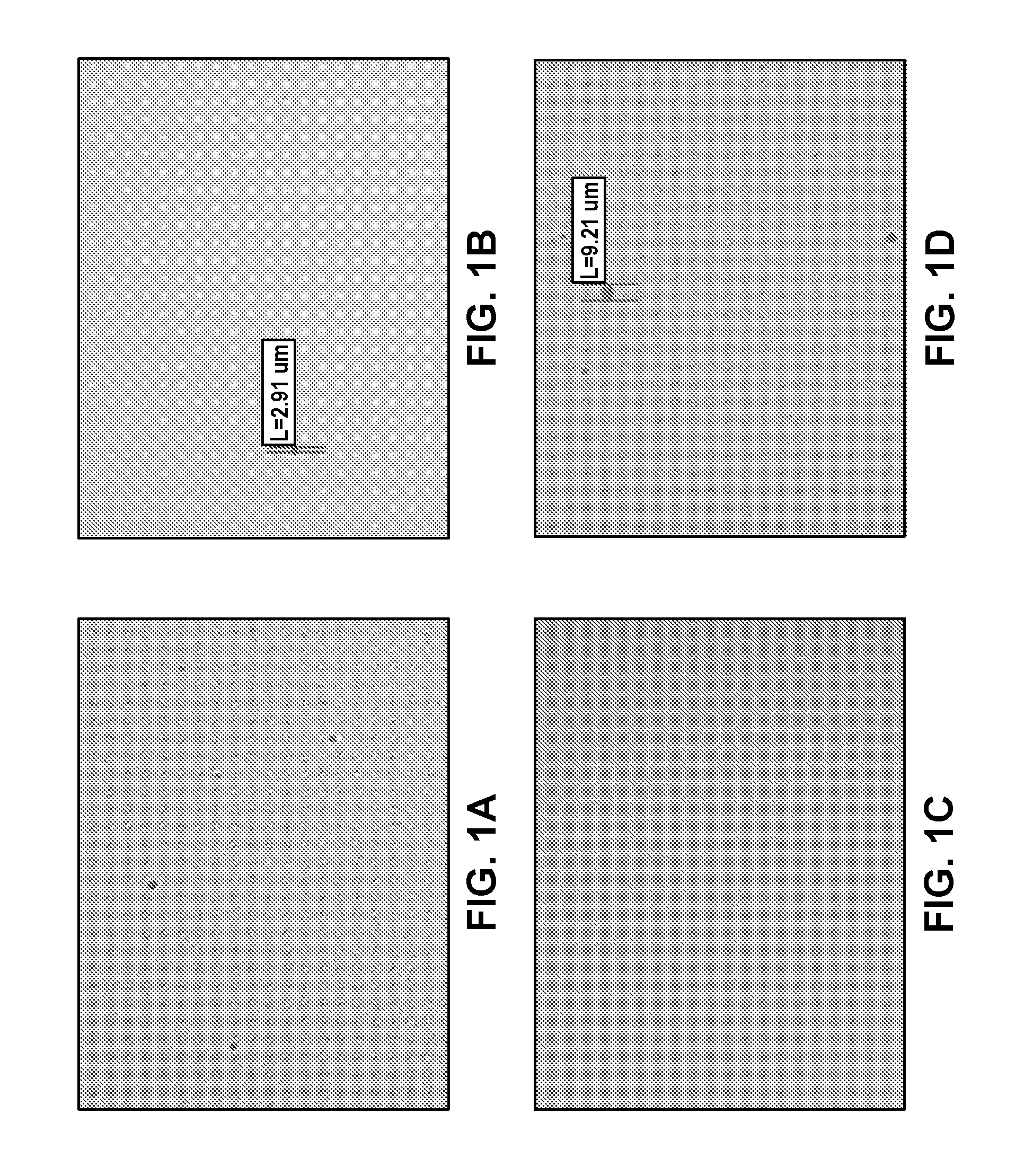 Emulsion formulations of aprepitant