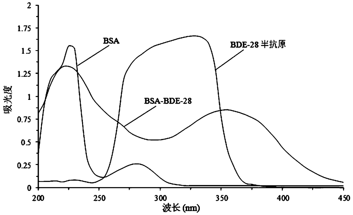 Preparation method and application of 2,4,4'-tribromobiphenyl ether immunogen