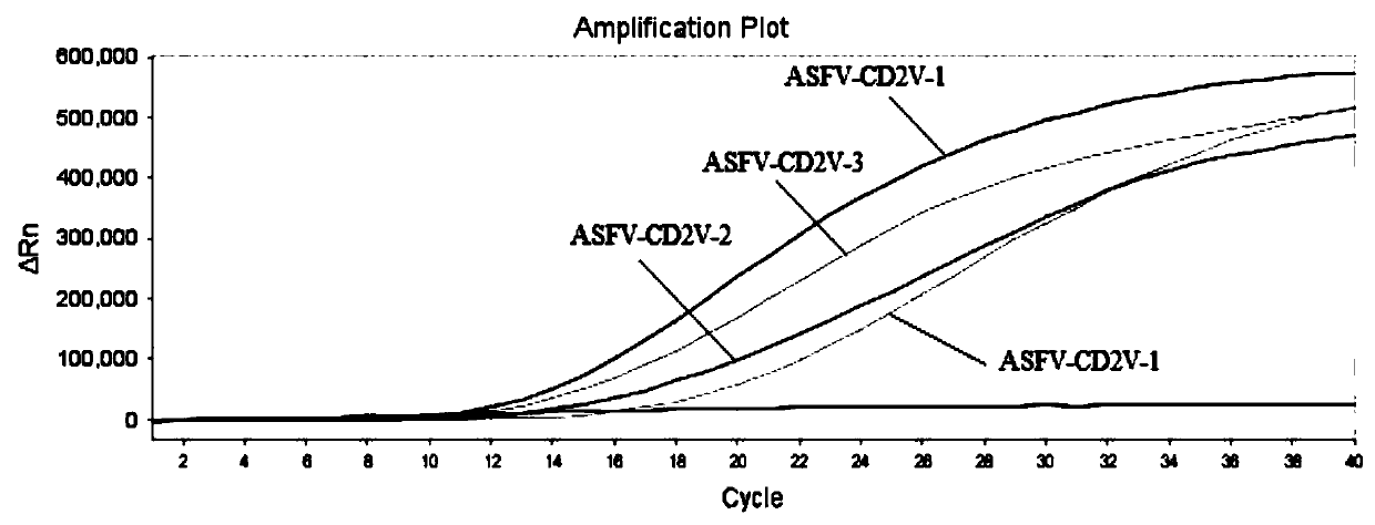 RAA (recombinase aided amplification) constant temperature fluorescent detection primer probe set, kit and method for African swine fever virus CD2V gene