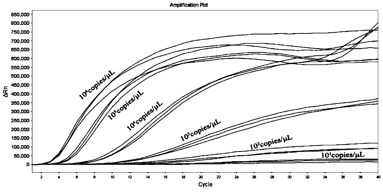 RAA (recombinase aided amplification) constant temperature fluorescent detection primer probe set, kit and method for African swine fever virus CD2V gene