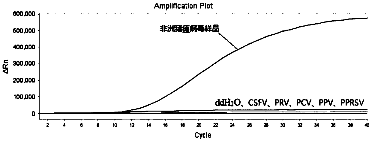 RAA (recombinase aided amplification) constant temperature fluorescent detection primer probe set, kit and method for African swine fever virus CD2V gene