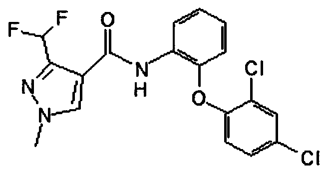 Compound bactericide