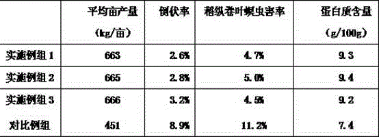 Amino acid rice leaf fertilizer