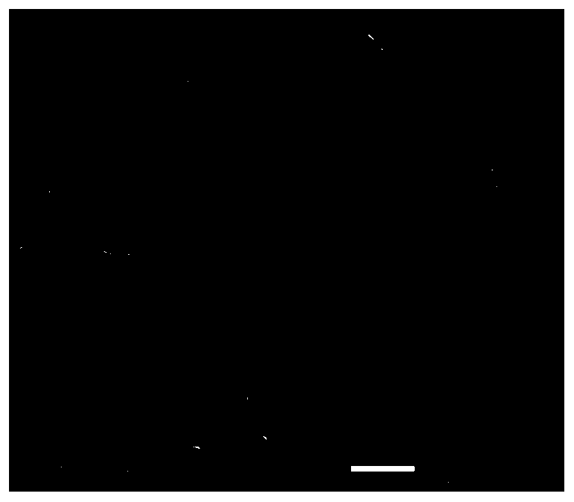 Hollow fiber durability water-repellent finishing method