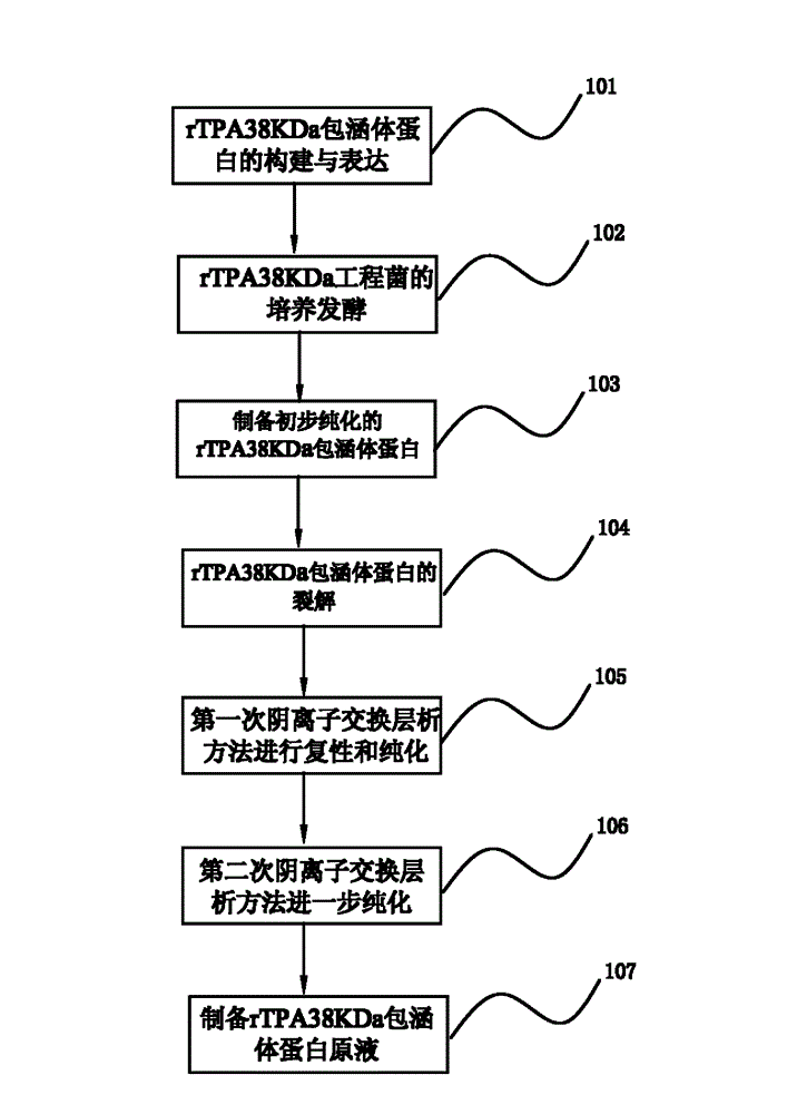 Renaturing and purifying method of mycobacterium-tuberculosis recombinant inclusion-body protein