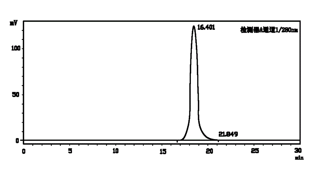 Renaturing and purifying method of mycobacterium-tuberculosis recombinant inclusion-body protein