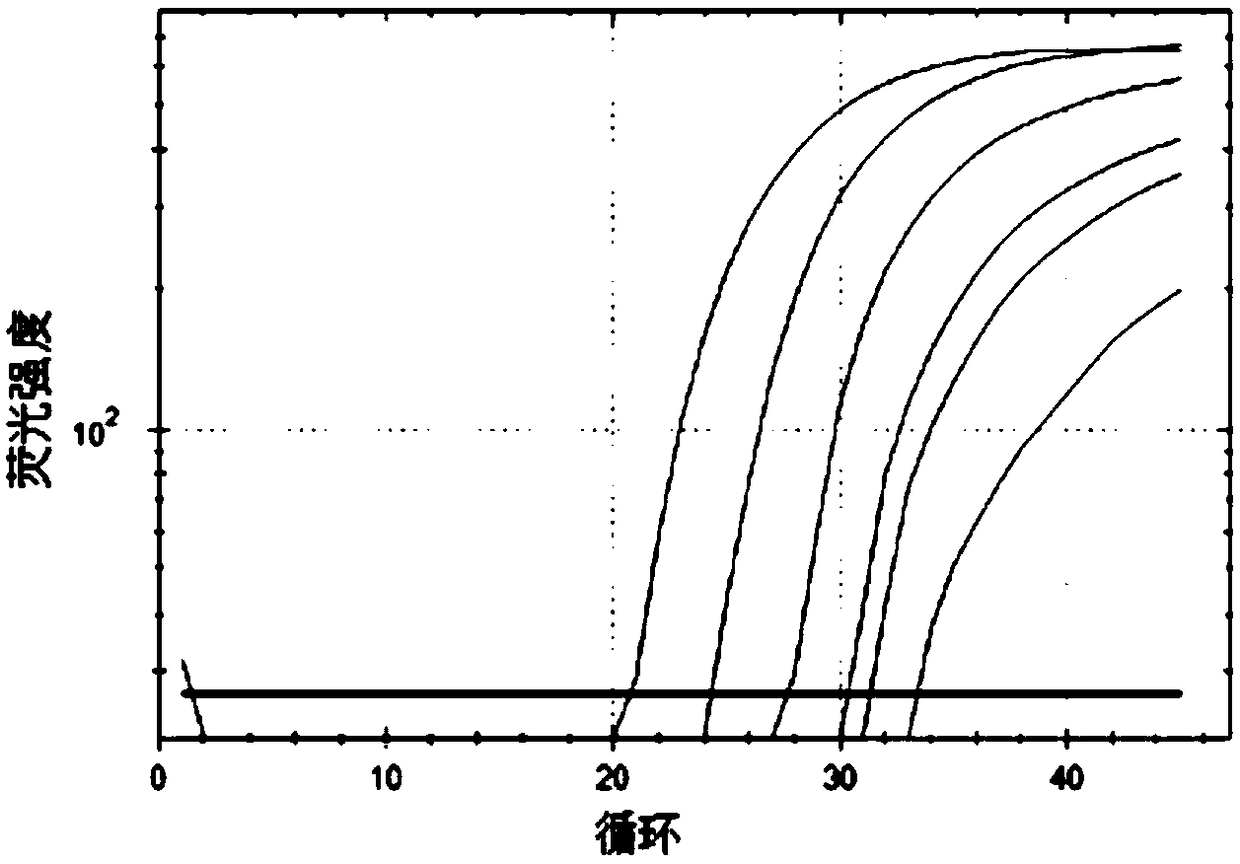 Real-time fluorescent quantitative PCR kit for detecting TRECs and KRECs genes, and application thereof