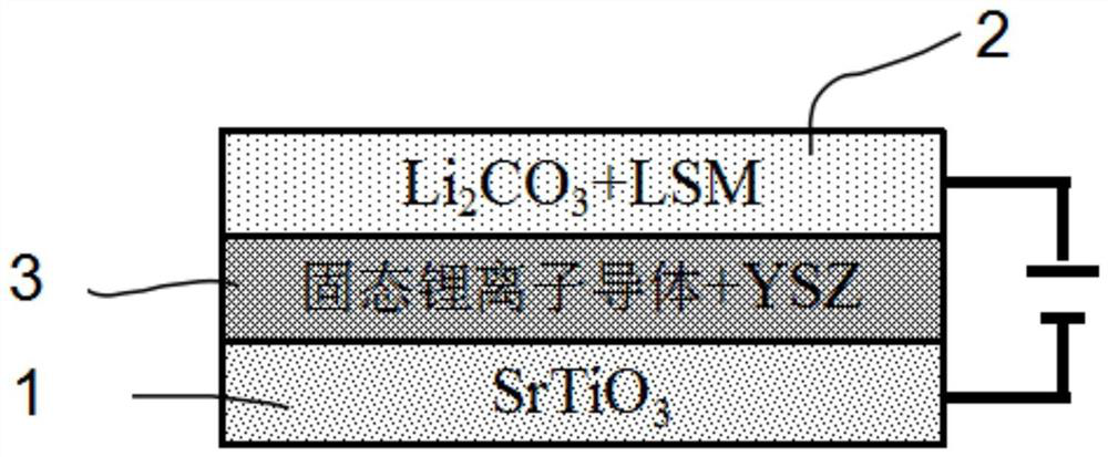 Solid fuel cell and preparation method thereof