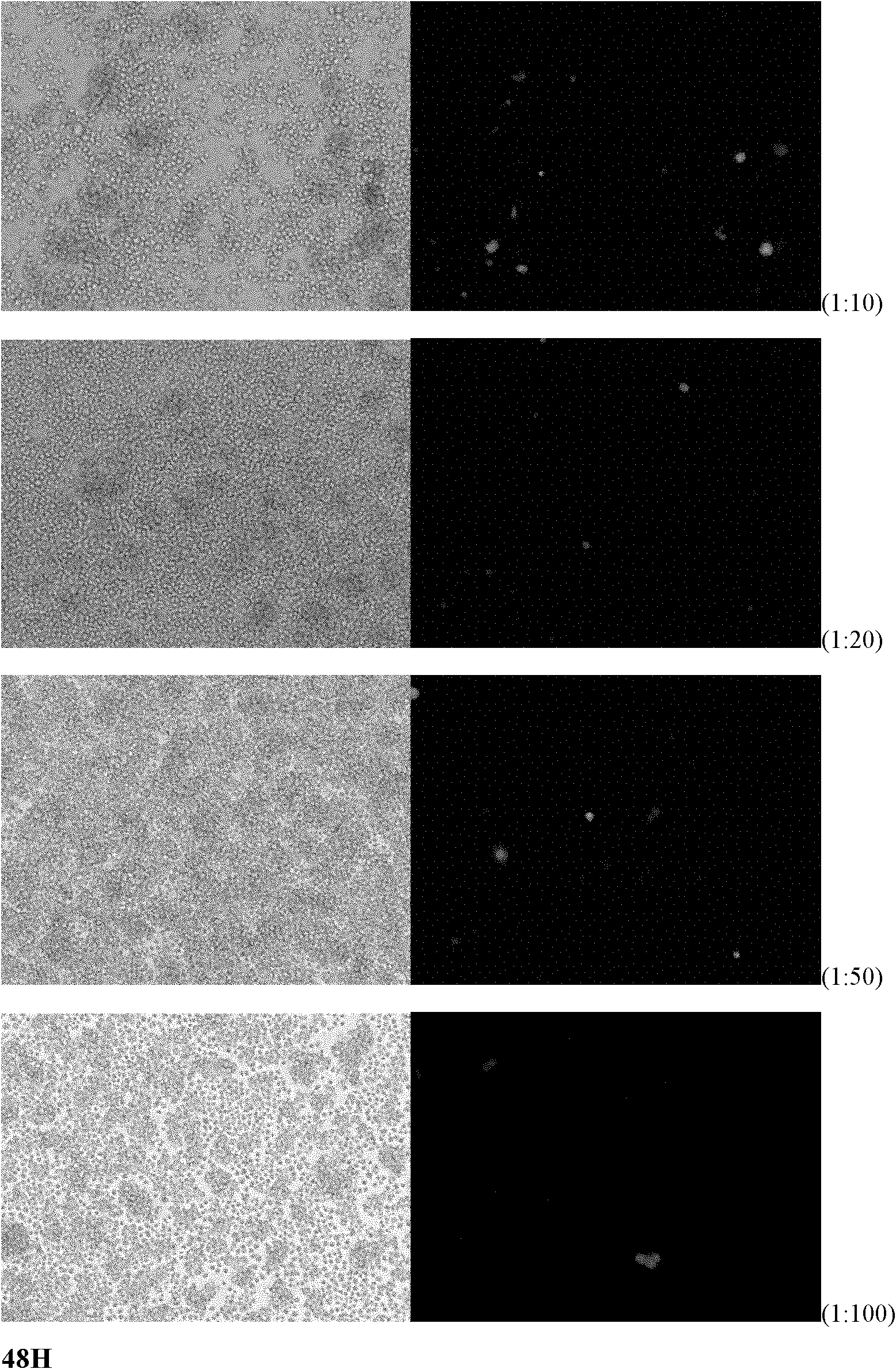 Method for screening anti-aids drug