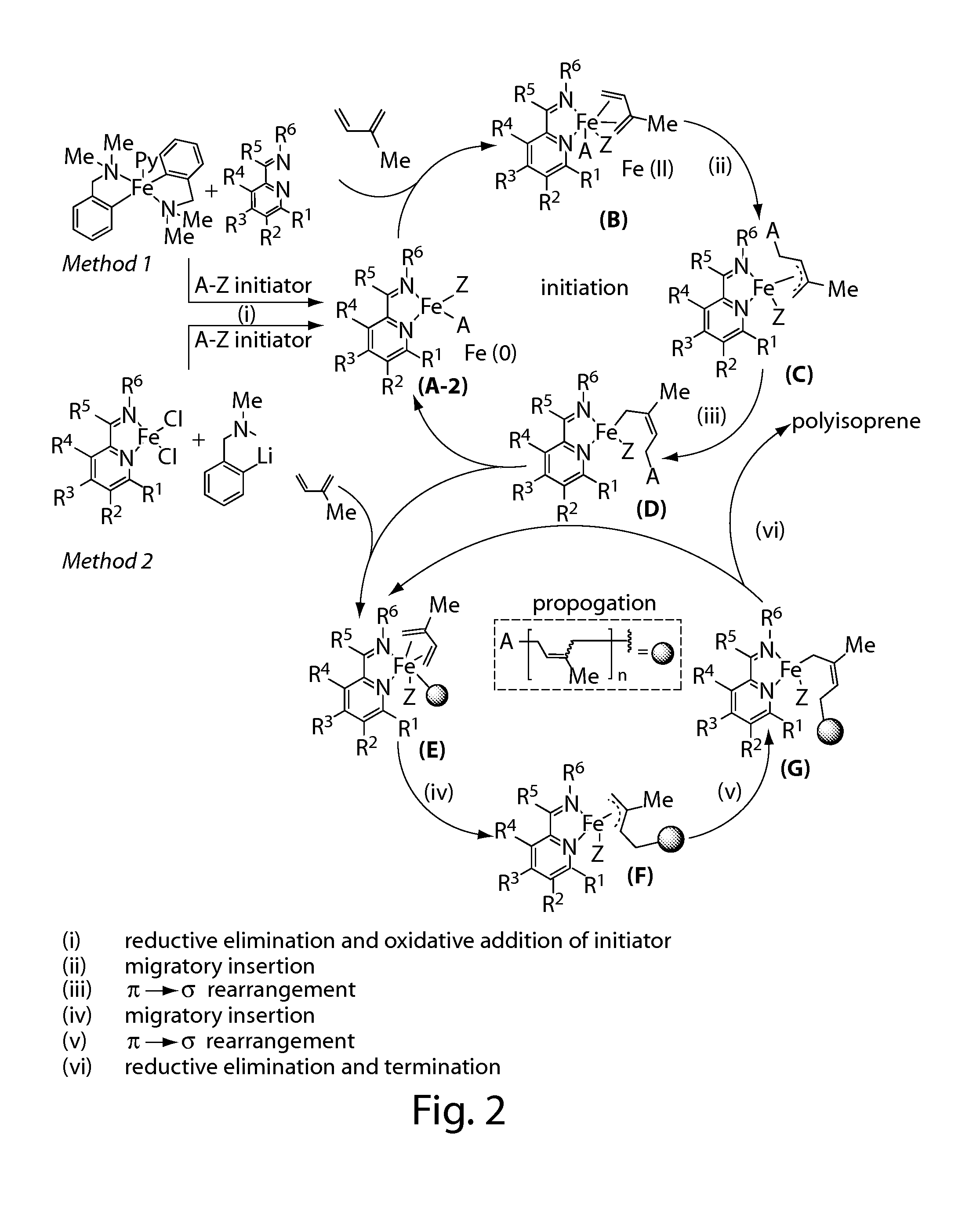 Iron complexes and methods for polymerization