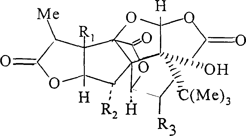 Ginkgo lactone capsule and its prepn. method