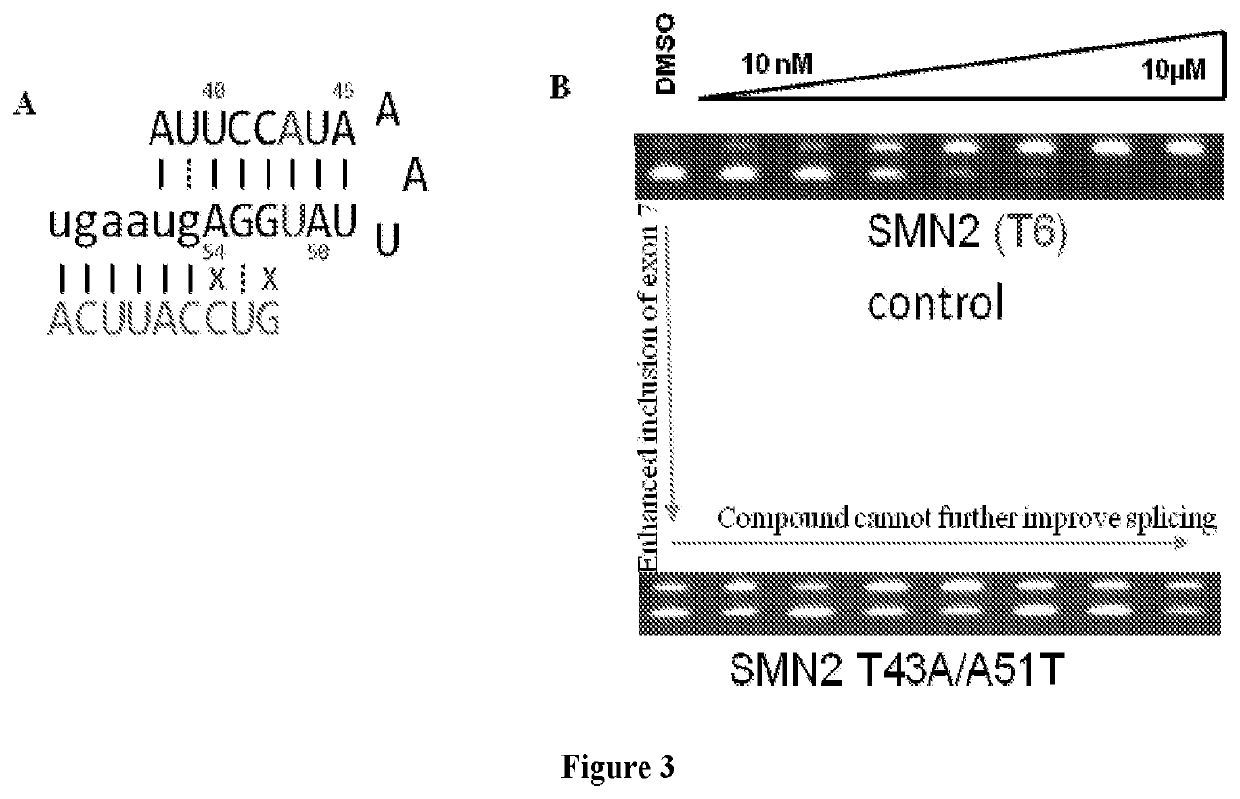 Methods for modulating RNA splicing