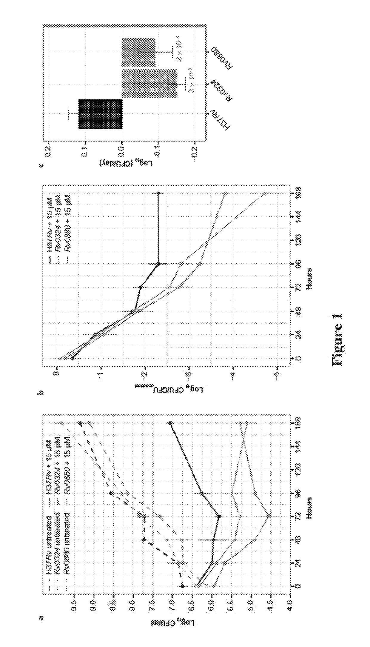 Methods to identify antituberculosis compounds