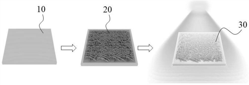 Surface-enhanced Raman scattering substrate, preparation method and application thereof