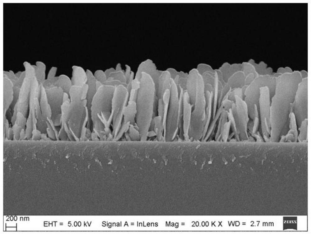 Surface-enhanced Raman scattering substrate, preparation method and application thereof