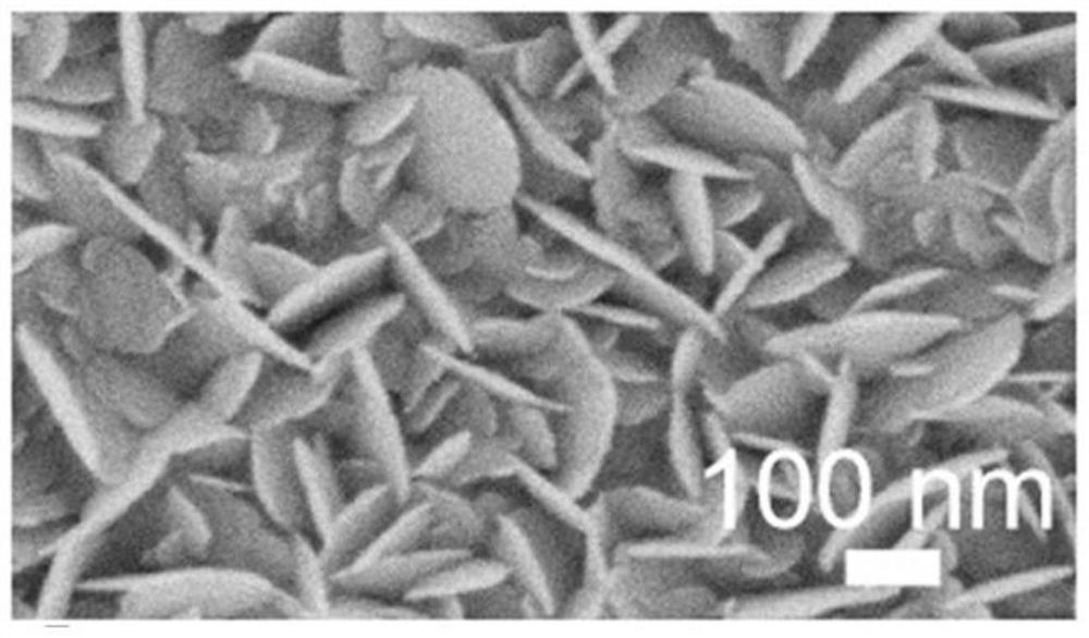 Surface-enhanced Raman scattering substrate, preparation method and application thereof