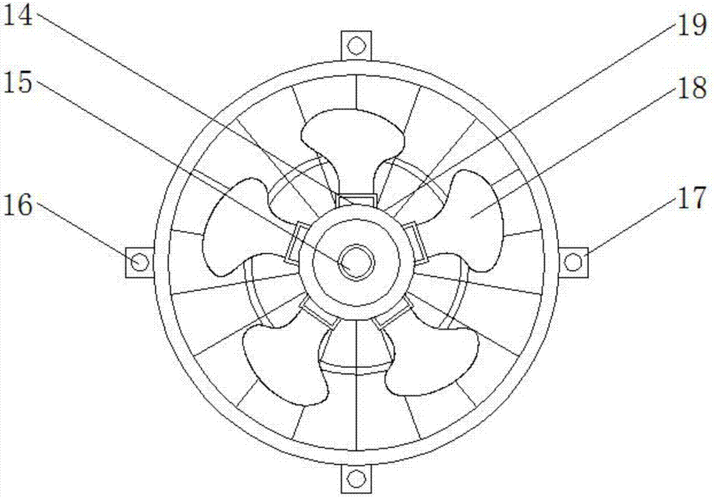 Fan blades for floor fan