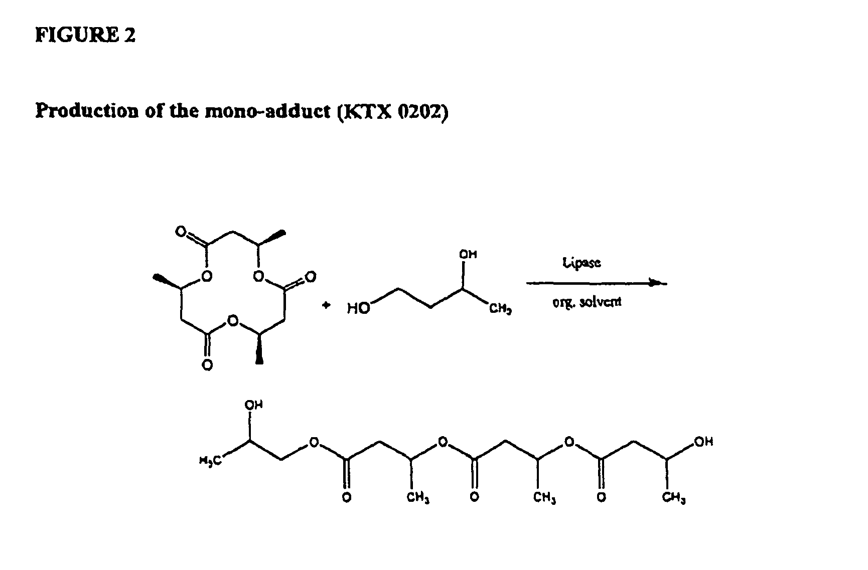 Oligomeric compounds