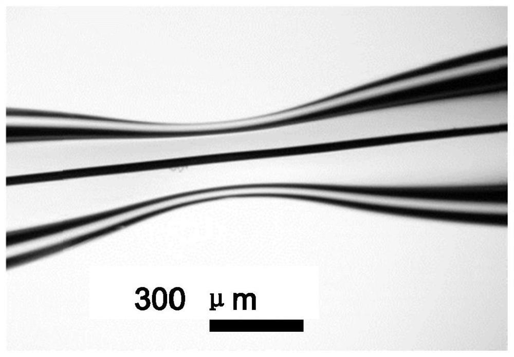 Method for preparing size-controllable nanoneedle type electrode