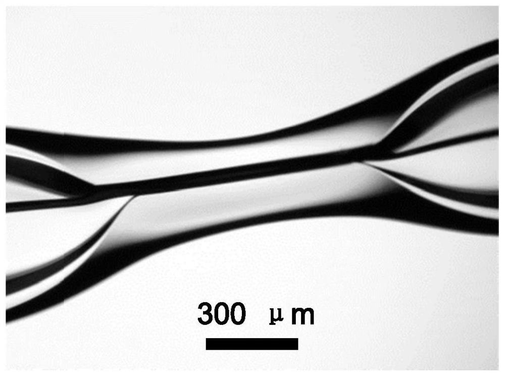 Method for preparing size-controllable nanoneedle type electrode